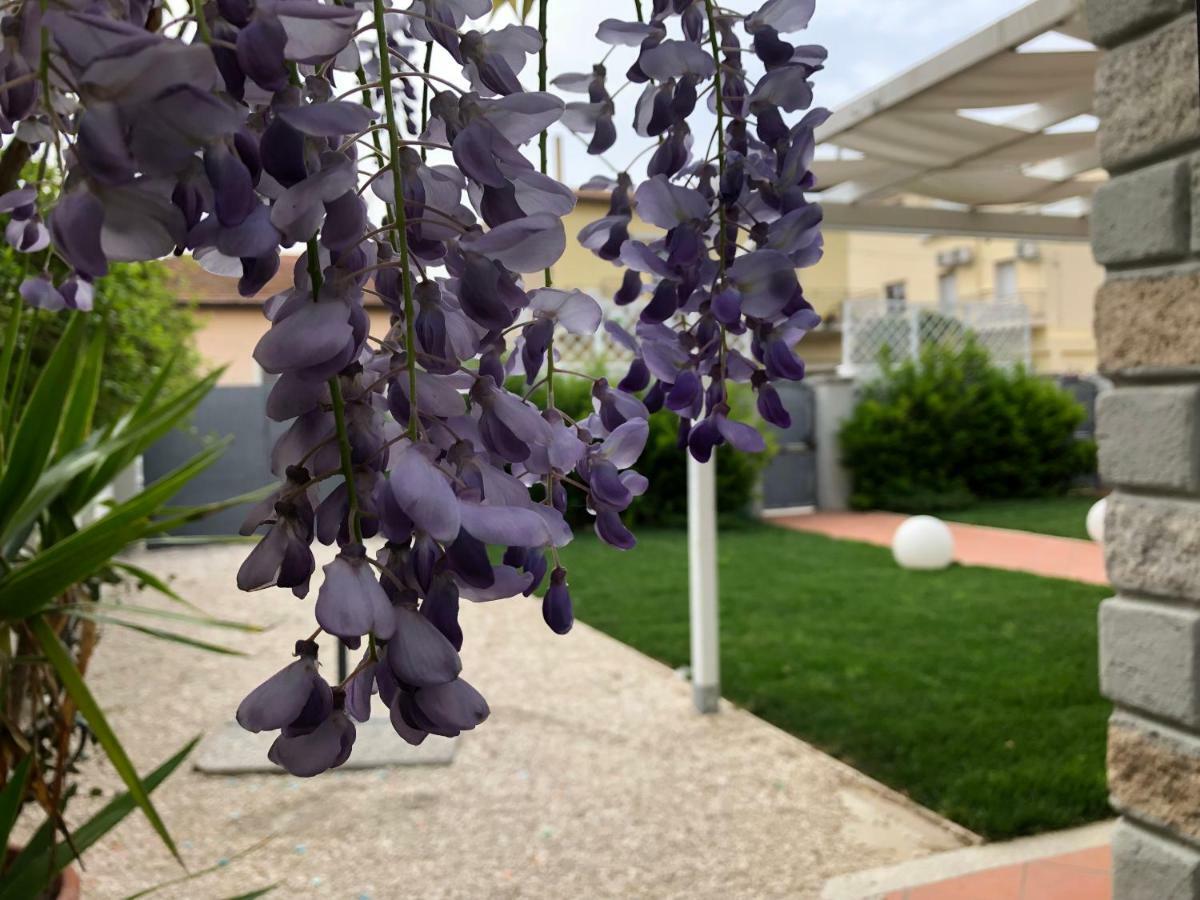 City Garden Guest House Olbia Exterior photo